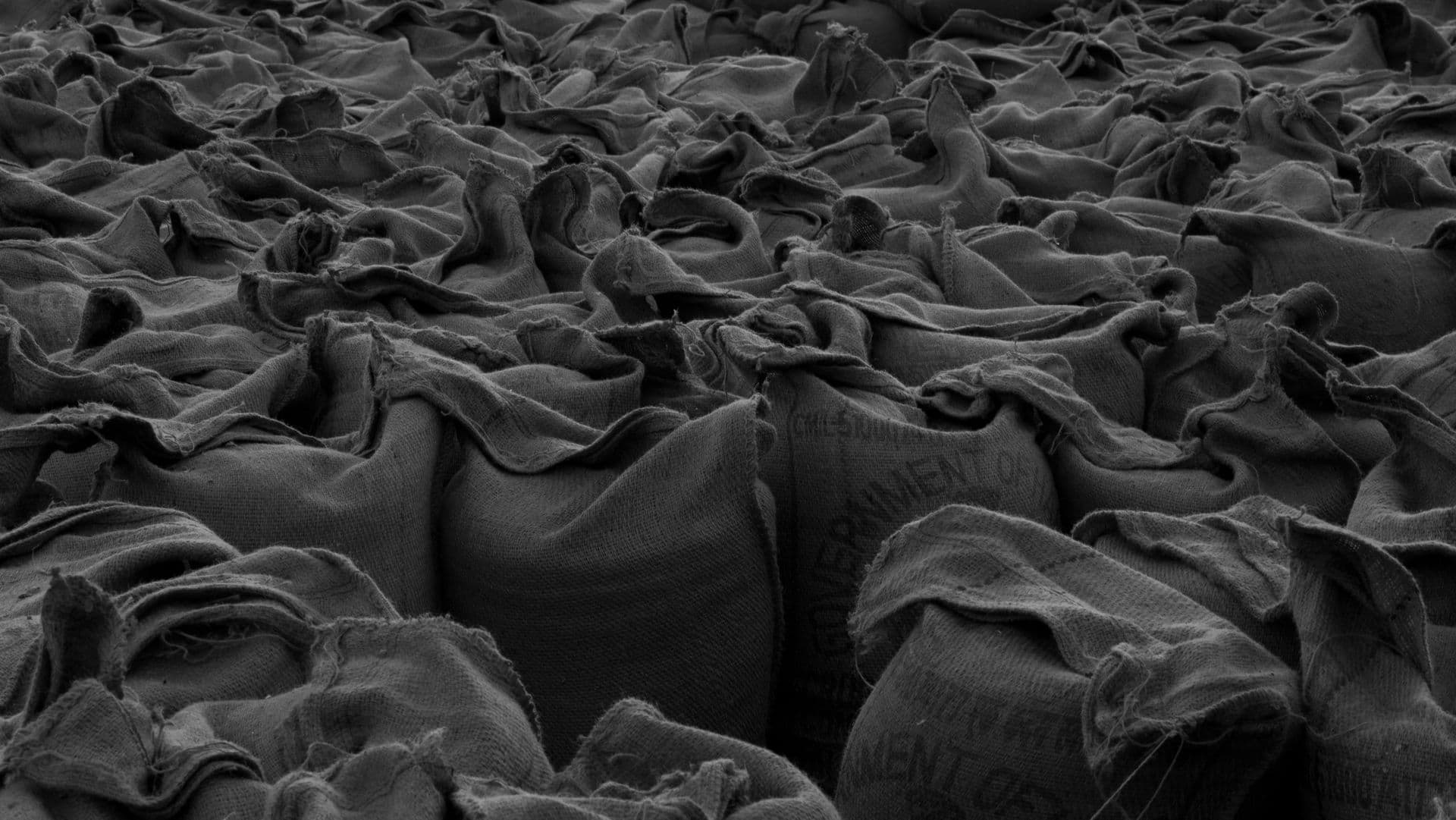 Tightly packed bulk sacks stacked in rows