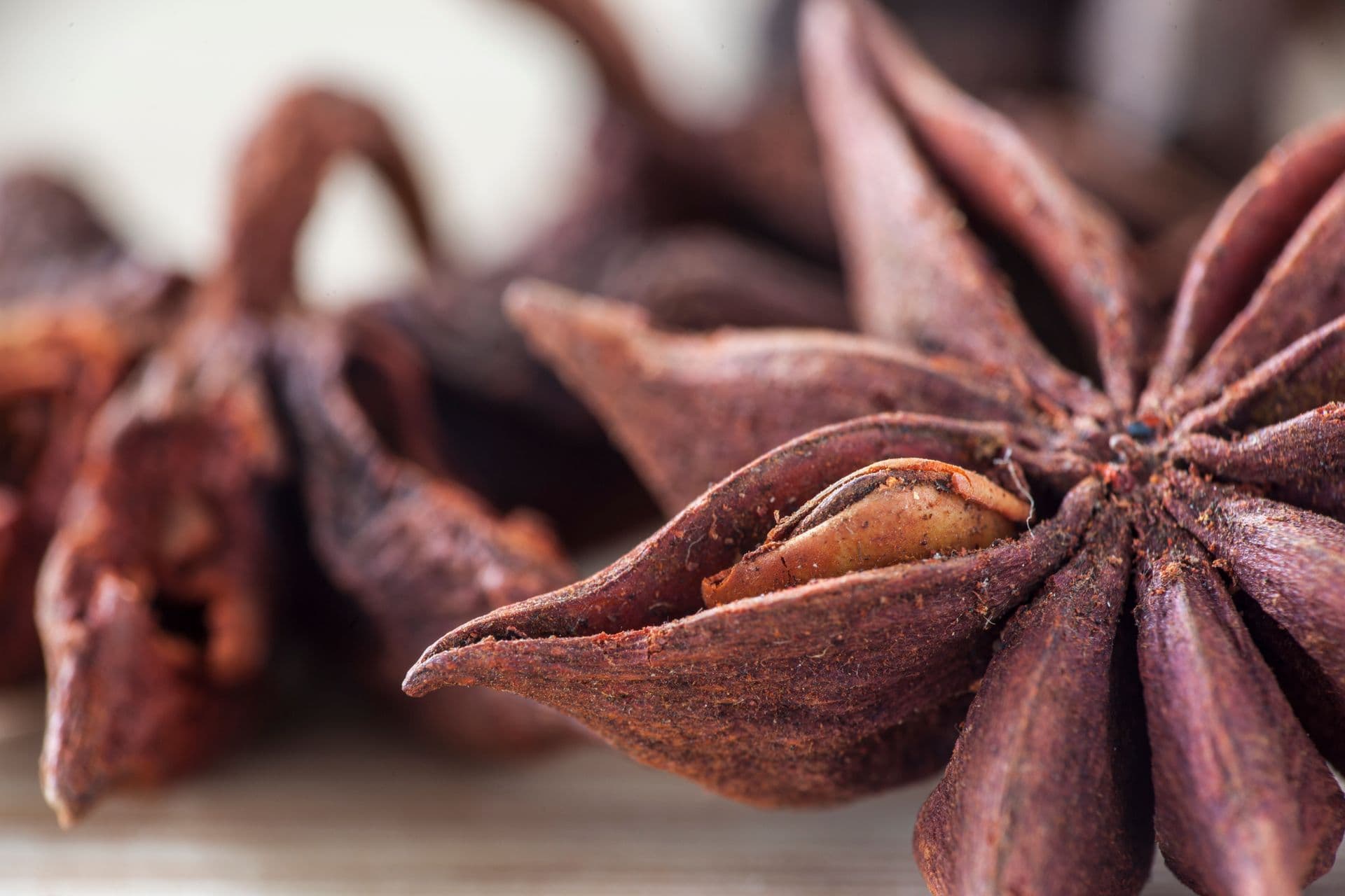 Macro view of dried star anise pods showing the eight follicles and their seeds